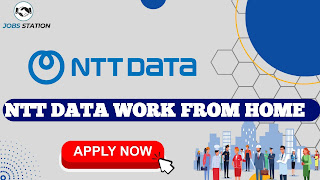 NTT DATA COMPANY JOB