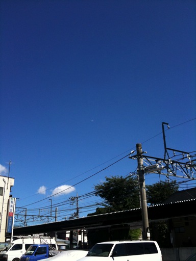 IMG_0169-2010-07-18-18-51.jpg