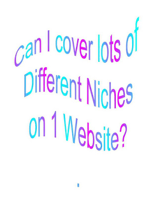 Can I cover lots of different niches on 1 website?