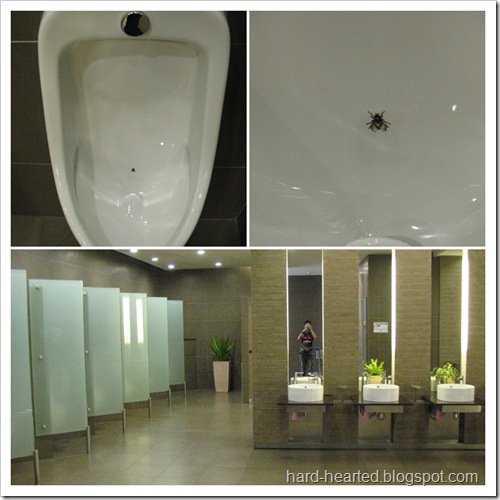 toilet toilet