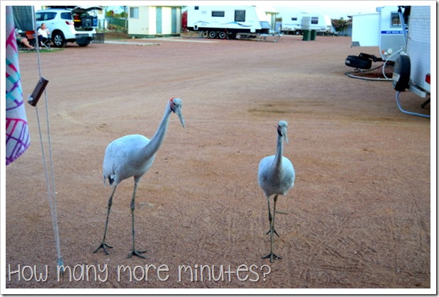 Life in a Caravan: Longreach | How Many More Minutes?