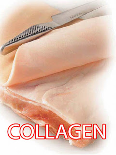 collagen nabati halal