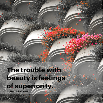 The trouble with beauty is feelings if superiority.