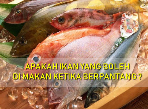 Resepi Ikan Singgang Tongkol - Surasmi Y