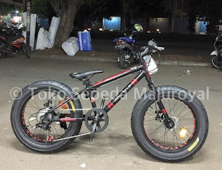 Fatbike For Kids 20" by Wimcycle