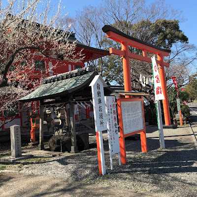 横浜ドリームランド　昭和レトロ　春日神社