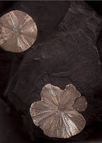 gold colored crystals on black rock