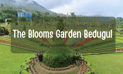 refreshing di The Blooms Garden Bedugul Bali