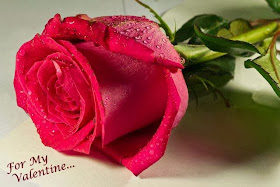 very beautiful love rose wallpaper
