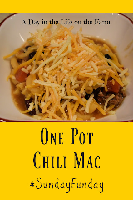 Chili Mac pin