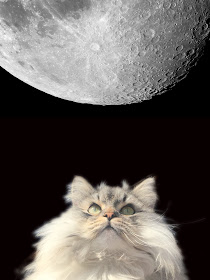 Puri Gagarin looking up at Moon.