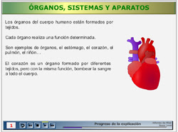 http://recursostic.educacion.es/secundaria/edad/3esobiologia/3quincena5/3quincena5_contenidos_4a.htm