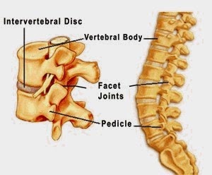 Spine Surgery in Chennai