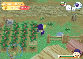 Download Harvest Moon Magical Melody For PC