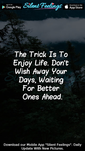 The Trick Is To  Enjoy Life