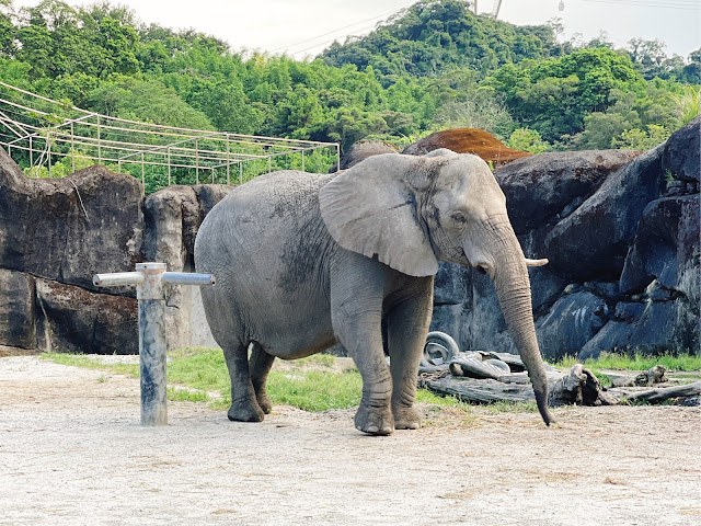 臺北市立動物園