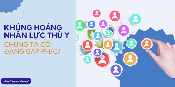 KHỦNG HOẢNG NHÂN LỰC THÚ Y, CHÚNG TA CÓ ĐANG GẶP PHẢI?