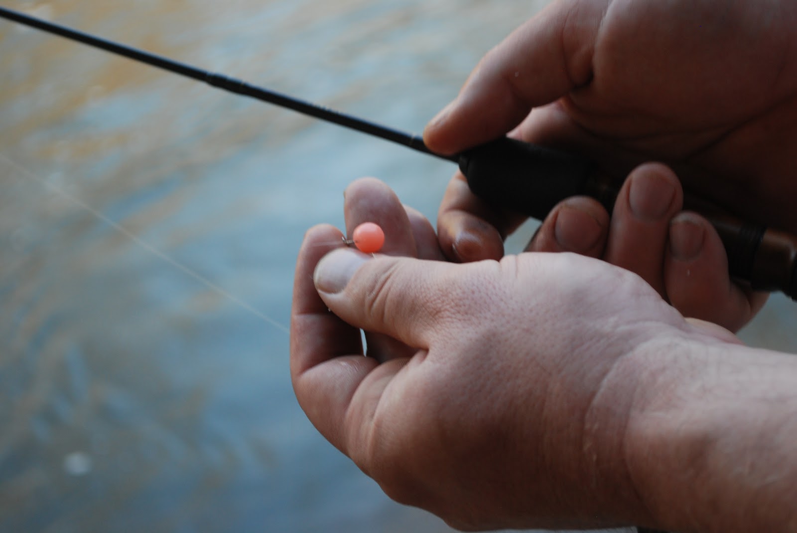 Litton's Fishing Lines: Fishing Salmon Eggs For Rainbow Trout, Brook Trout