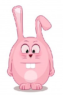 Rabbit Deterrent Rabbit Deterrent