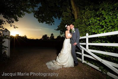 Bride and Groom Portrait, Steeple Court Manor, Botley, Hampshire, sunset