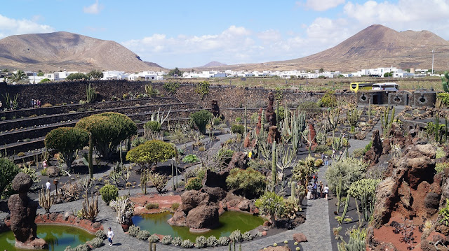 jardin de cactus lanzarote