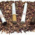 Asal Usul Rokok