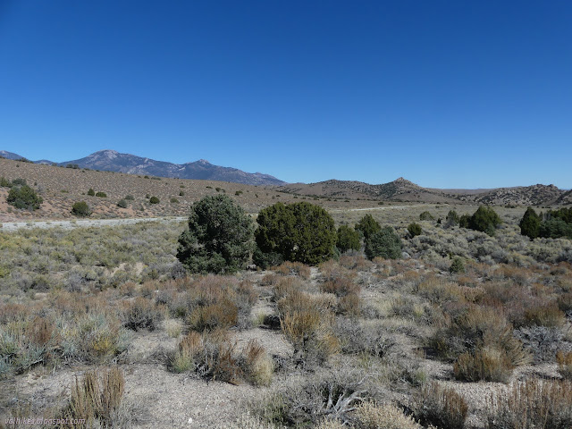 01: peaks across a strip of tarmack