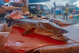 Manfaat Ikan Rutiang Untuk Menyembuhkan Dengan Cepat Setelah Operasi Melahirkan