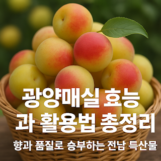 광양매실-효능과-활용법-총정리-썸네일