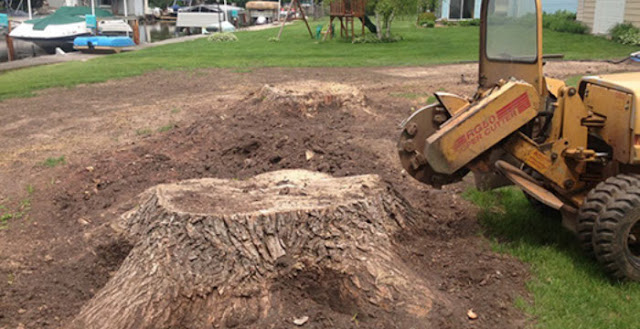 tree-removal-liverpool