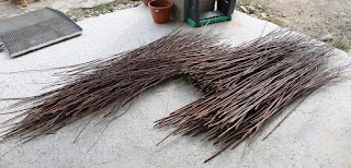 Lots of willow wands