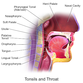 Want to Cure Itchy Throat