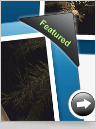 Web 2.0 Styled Slider with 9 Color Variations