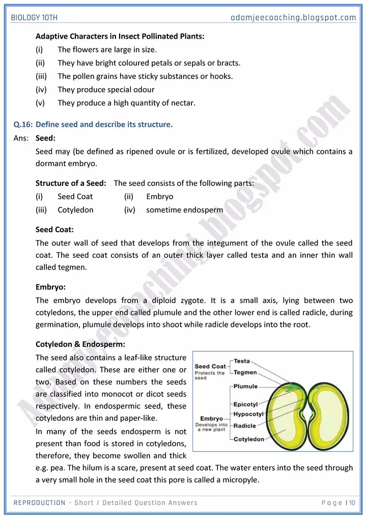 reproduction-short-and-detailed-answer-questions-biology-10th