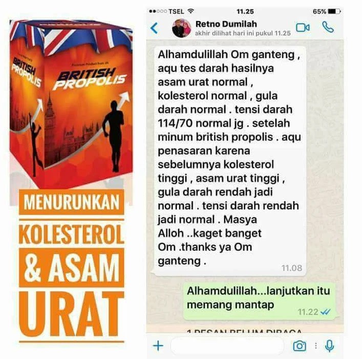 manfaat british propolis untuk jantung