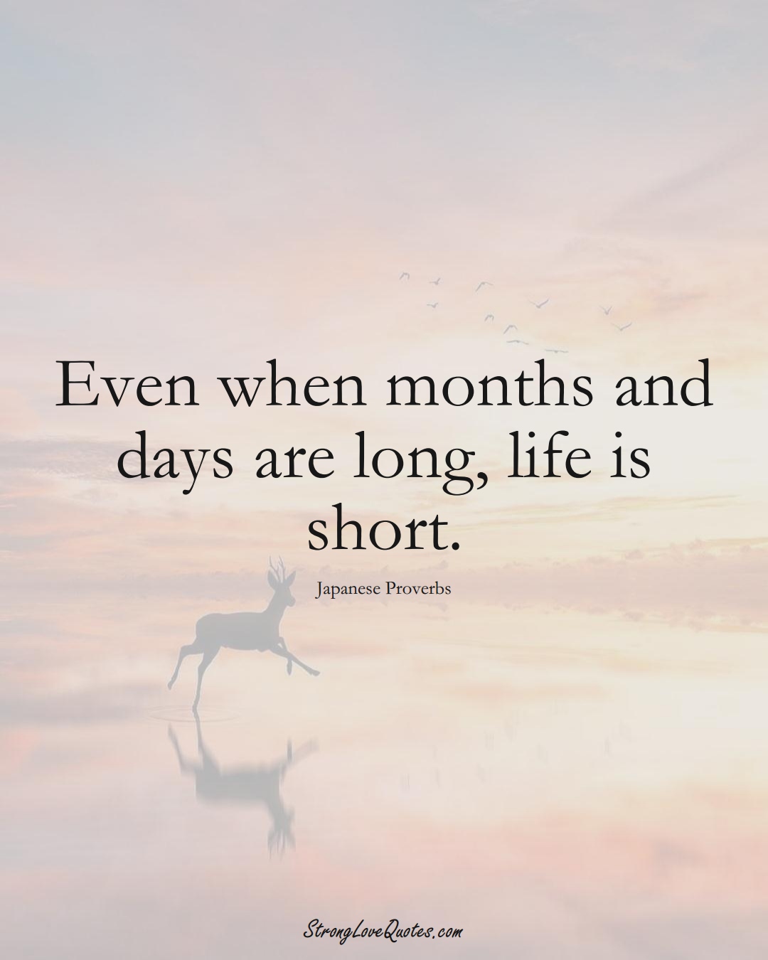 Even when months and days are long, life is short. (Japanese Sayings);  #AsianSayings
