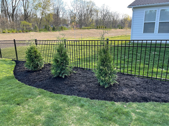 western cedar bed