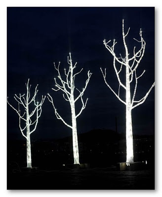 tree street lights