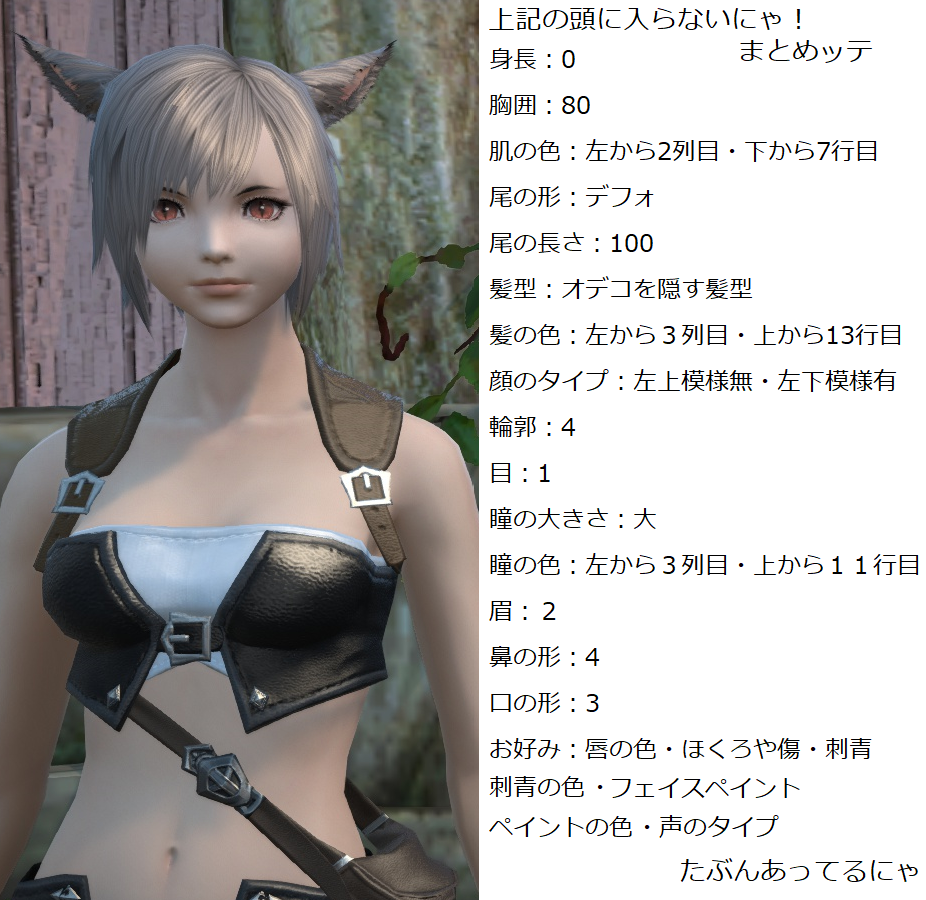 Ff14 かわいいミコッテをキャラメイクしてみた いつものff14