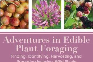 Adventures In Edible Plant Foraging Finding Identifying Harvesting And
Preparing Native And Invasive Wild