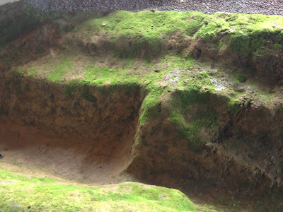 Photos by E.V.Pita / Megalithic tomb Dolmen of Dombate (Galicia, Spain)