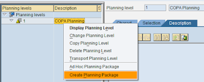 SAP FICO COPA Planning