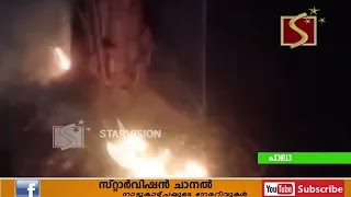 തണല്‍മരങ്ങള്‍ നശിപ്പിക്കാന്‍ സാമൂഹ്യവിരുദ്ധരുടെ ശ്രമം