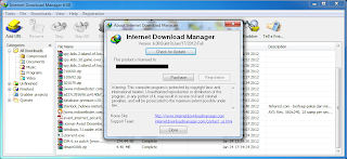 Picture showing Registered IDM 6.08 Beta Build 8