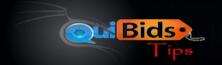Quibids Tips Banner