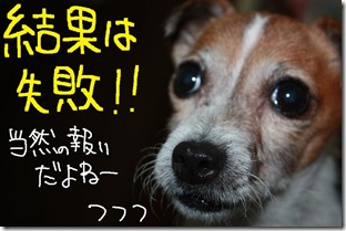 今日カズ１０１１０１　２