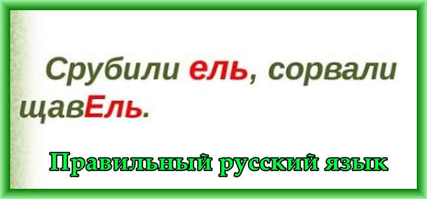 Как правильно писать щАвель или щавЕль? Правильный русский язык