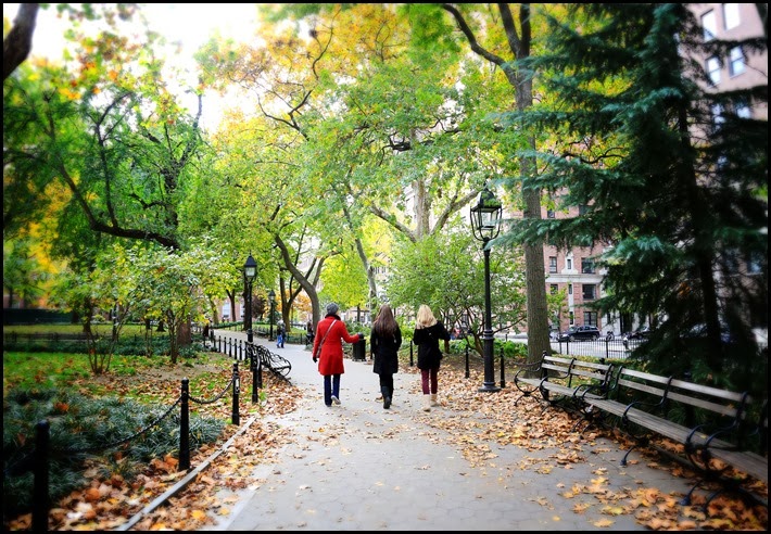 Washington Sqr Park NYU 11-2013 (28)