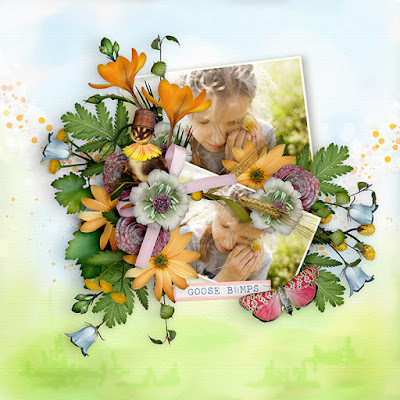Layout created with Silly Goose by ButterflyDsign