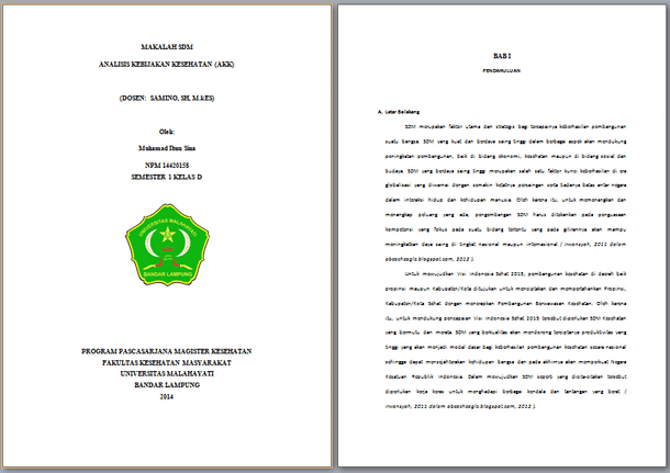 Contoh Makalah SDM Tentang Analisis Kebijakan Kesehatan 